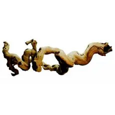 Pr&iacute;rodn&aacute; dekor&aacute;cia - vetva z vinnej r&eacute;vy M, 35 - 45cm