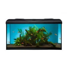 Akv&aacute;rium STARTUP 80 LED Expert 16W - ROVN&Eacute; - ČIERNE
