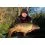 Mivardi Rapid Boilies Easy Catch - English Strawberry 950g/24mm