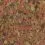 TetraMin Flakes 100 ml / 20 g