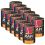 Rafi Adult GF Paté with Duck 12 x 400 g