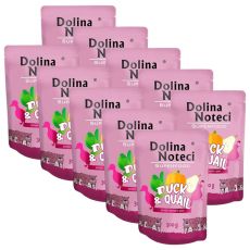 Dolina Noteci Superfood Kačica & Prepelica 10 x 300 g