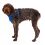 Postroj pre psy Ruffwear Front Range® Harness, Blue Pool S