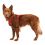 Postroj pre psy Ruffwear Front Range® Harness, Red Canyon XXS