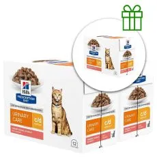 Hill's Prescription Diet Canine c/d Multicare Salmon 12 x 85 g, 2+1 ZADARMO
