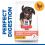 Hill's Science Plan Canine Perfect Digestion Puppy Medium Chicken 14 kg - POŠKODENÝ OBAL