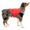 Kurgo Surf N Turf Dog Life Jacket Plávacia vesta pre psy, XS červená