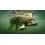Water Wolf Underwater Camera 2.0 1080K