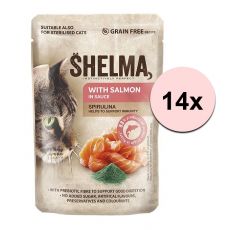 Shelma Cat Kapsička losos-spirulina v omáčke 14 x 85 g