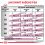 Royal Canin VHN Dog Renal 24 x 100 g