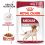 ROYAL CANIN Medium adult kapsička v šťave pre dospelé stredné psy 20 x 140 g