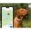 Tractive DOG 6 &ndash; GPS lok&aacute;tor pre psy a monitor zdravia, hned&yacute;