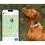 Tractive DOG 6 &ndash; GPS lok&aacute;tor pre psy a monitor zdravia, m&auml;tov&yacute;