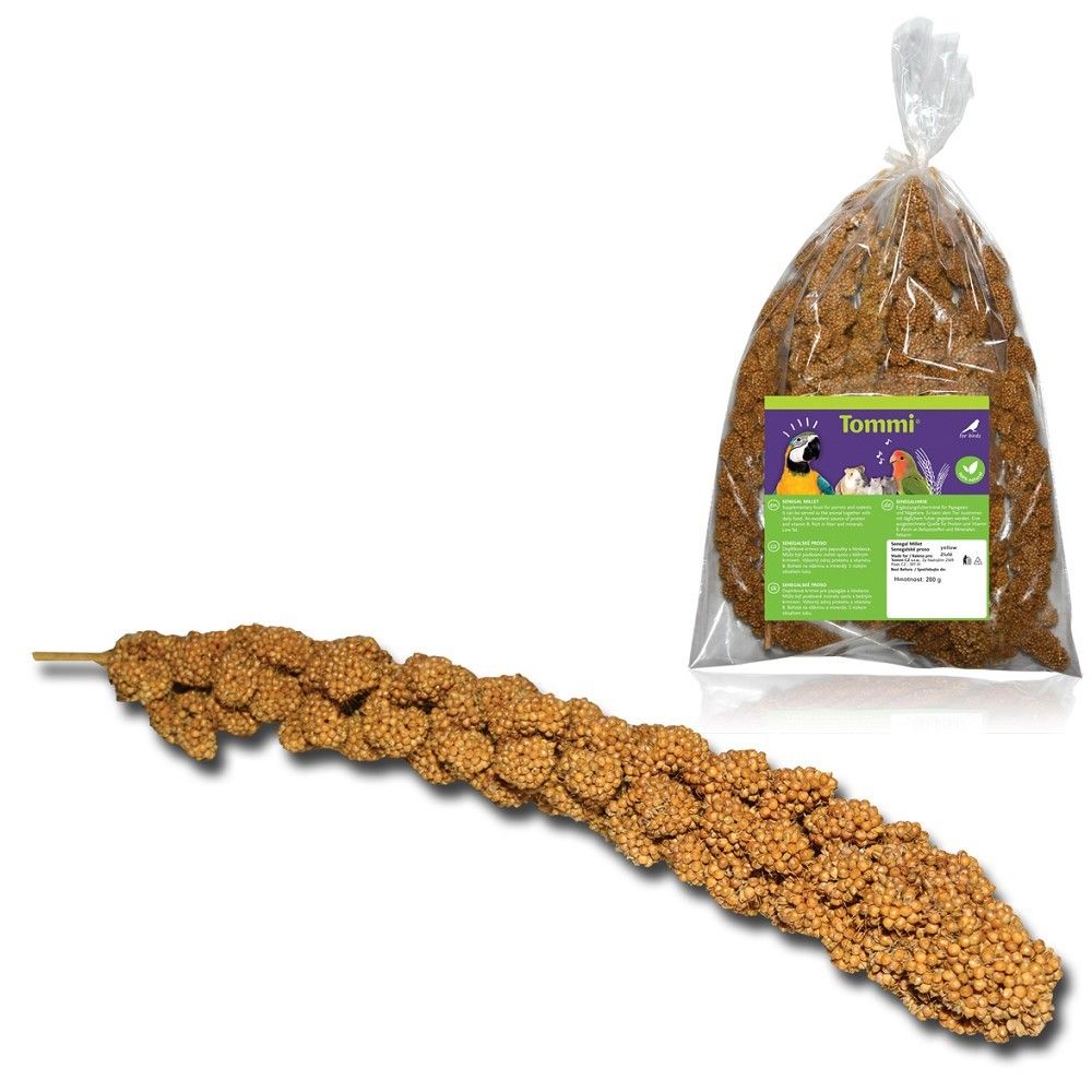 Senegalské proso žlté 200g + 20% zdarma