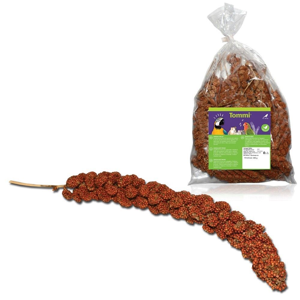 Senegalské proso červené 200g + 20% zdarma