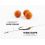 ZFISH Wide Gape Carp Rig / size 2