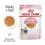 Royal Canin Kitten Instinctive Jelly kapsička pre mačiatka v žel&eacute; 24 x 85 g