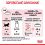 Royal Canin Kitten Instinctive Jelly kapsička pre mačiatka v želé 24 x 85 g
