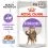 Royal Canin Sterilised Jelly kapsička pre kastrovan&eacute; mačky v žel&eacute; 24 x 85 g