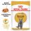 Royal Canin British Shorthair kapsička pre britské krátkosrsté mačky v šťave, 24 x 85 g