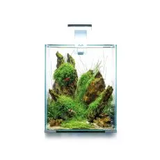 AQUAEL SHRIMP SET SMART D&N 20 BIELY