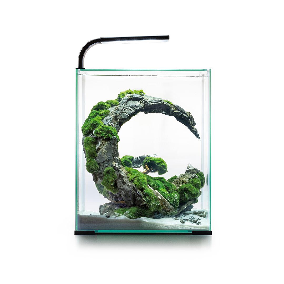 AQUAEL SHRIMP SET SMART D&N 30 ČIERNY