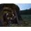 Starbaits Bivvy A Terra Continental