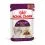 Royal Canin FHN Sensory Smell Gravy 36 x 85 g