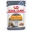 Royal Canin Hair & Skin Care Jelly kapsička pre mačky v želé 24 x 85 g