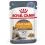 Royal Canin Hair & Skin Care Jelly kapsička pre mačky v žel&eacute; 24 x 85 g