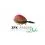Zfish Method Feeder ZFX 20g