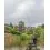Matrix Aquos Ultra-D Feeder Rod 3.7m/90g/2