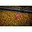 Matrix MXC-4 X-Strong Boilie Pin Rig 10cm 0.23mm size 12 / 8x