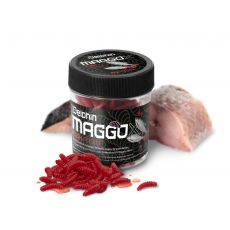 Delphin MaggoX Pop Up / Ryba