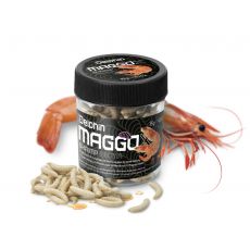 Delphin MaggoX Pop Up / Kreveta