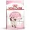 ROYAL CANIN Kitten granule pre mačiatka v ich druhej f&aacute;ze rastu 4 kg