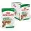 Royal Canin Dog Mini Ageing kapsička v &scaron;ťave 12 x 85 g