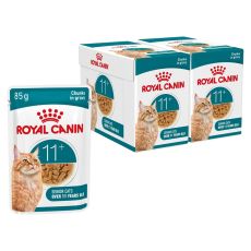 Royal Canin Ageing für Katzen ab 12 Jahren (4 kg) (Neu und originalverpackt) in Flumenthal für