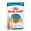 Royal Canin AGEING 15+ Gravy k&uacute;sky v &scaron;ťave pre starn&uacute;ce mačky star&scaron;ie ako 15 rokov 36 x 85 g