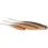 Westin SHADTEEZ PIN-TAIL 13cm/6g Pearl White 2x