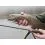 Delphin TROUTERA SoftLURE 210cm/1-7g