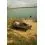 FOX CAMOLITE Sleep System