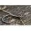 Korum Smokeshield Coated Braid 10m 10lb 