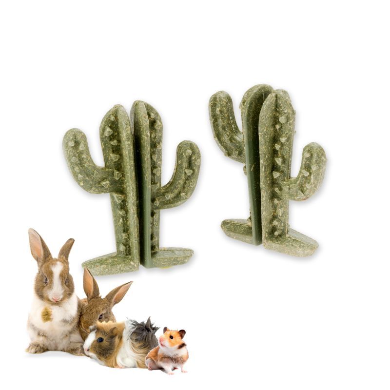Veggie Bites CACTUS - pochúťka pre hlodavce a zajace