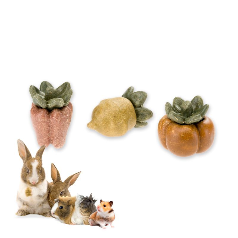 Veggie Bites VEG - pochúťka pre hlodavce a zajace