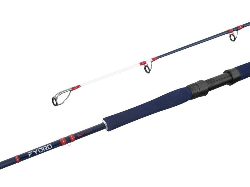 Delphin FYORD BigBOAT 200cm/300-400g