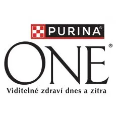 PURINA ONE - Granule pre psy