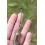 Preston Feeder Links Stiff 2x Long 80mm