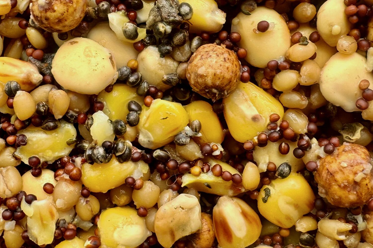 Mivardi Particle Mix Premium 2,5kg