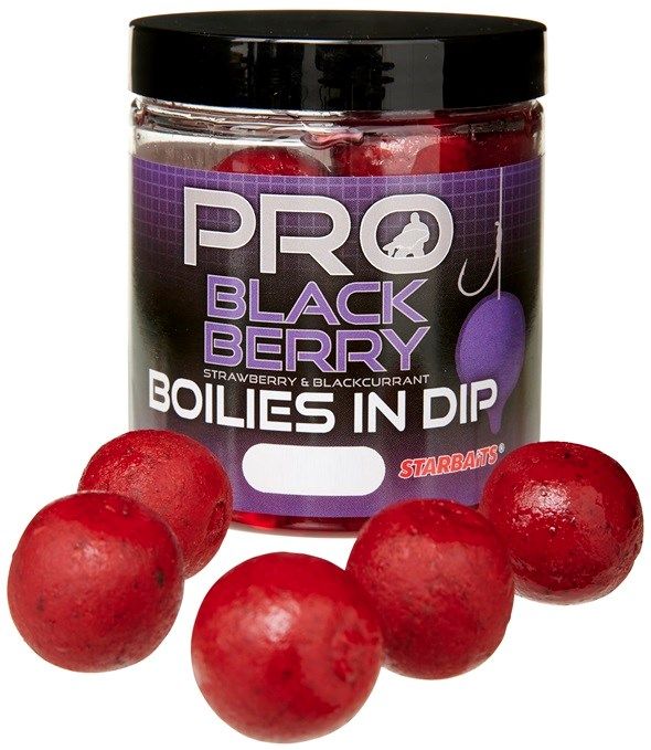 Starbaits Boilies in Dip Probiotic BLACKBERRY 24mm/150g